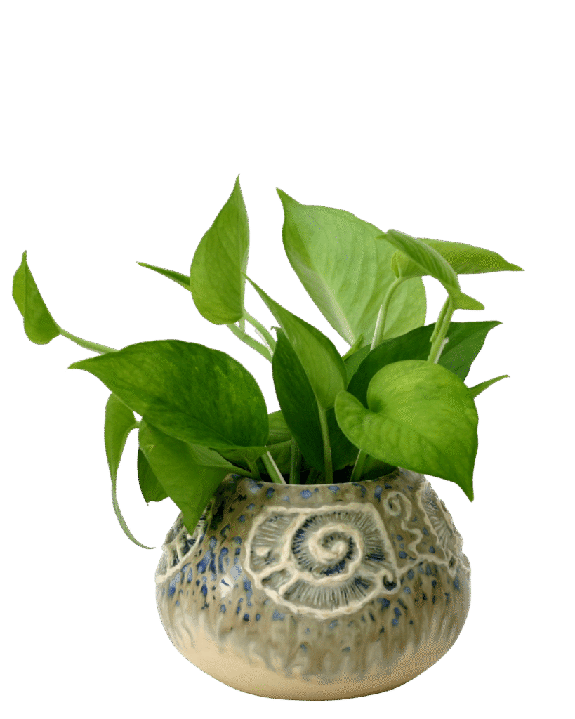 Untitled design (10)